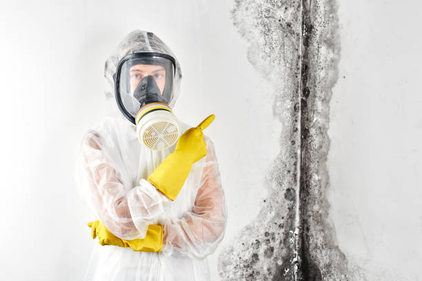 Mold Removal for HVAC Installations in Marshall, MO